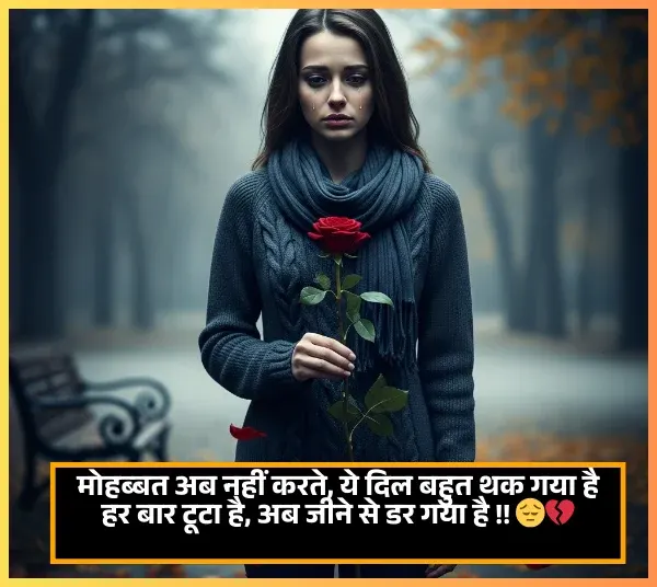 No Love Shayari No Love Shayari