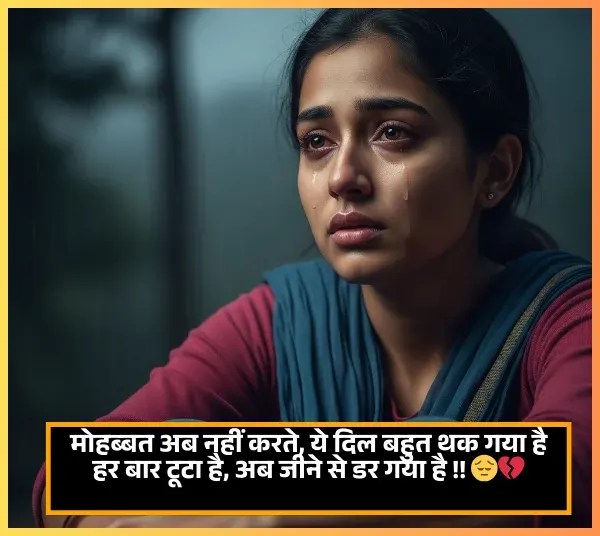 No Love Shayari No Love Shayari